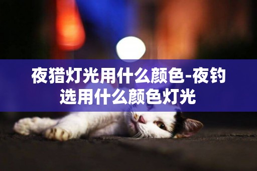 夜獵燈光用什么顏色-夜釣選用什么顏色燈光