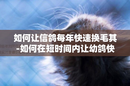 如何讓信鴿每年快速換毛其-如何在短時間內讓幼鴿快速換毛？