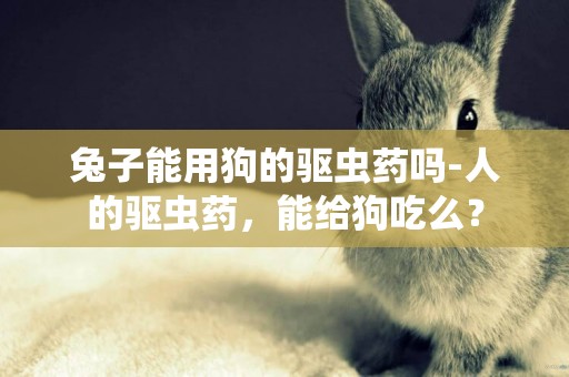 兔子能用狗的驅蟲藥嗎-人的驅蟲藥，能給狗吃么？