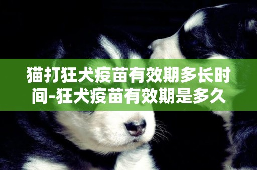 貓打狂犬疫苗有效期多長時間-狂犬疫苗有效期是多久? 貓打狂犬疫苗有效期多長時間-狂犬疫苗有效期是多久?