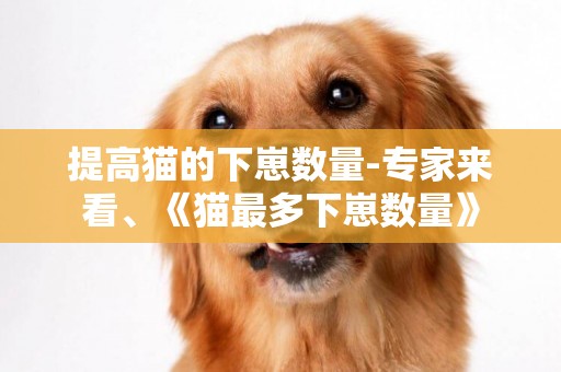 提高貓的下崽數量-專家來看、《貓最多下崽數量》