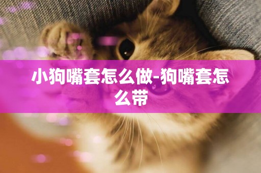 小狗嘴套怎么做-狗嘴套怎么帶