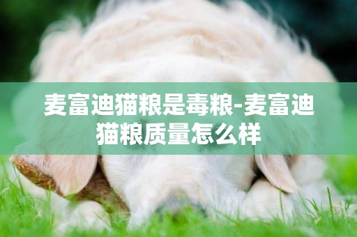 麥富迪貓糧是毒糧-麥富迪貓糧質量怎么樣