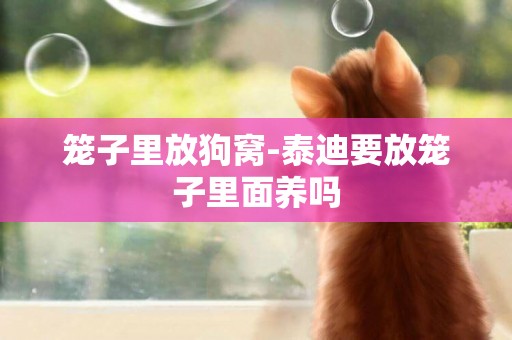 籠子里放狗窩-泰迪要放籠子里面養嗎