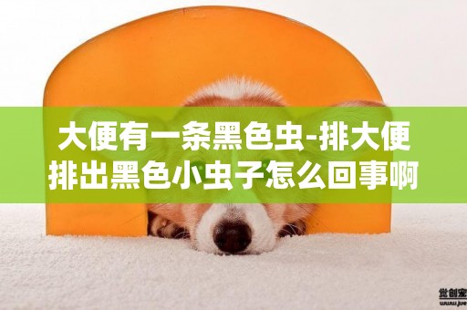 大便有一條黑色蟲-排大便排出黑色小蟲子怎么回事啊！