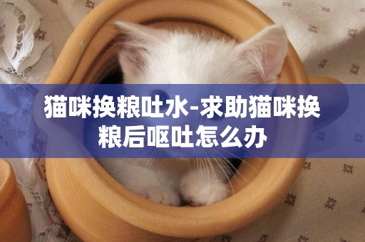 貓咪換糧吐水-求助貓咪換糧后嘔吐怎么辦