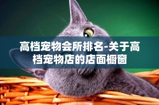 高檔寵物會所排名-關于高檔寵物店的店面櫥窗