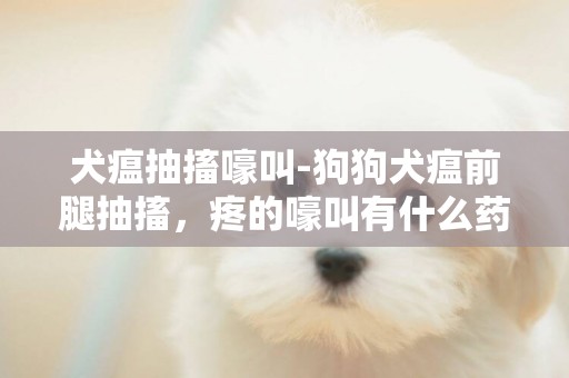 犬瘟抽搐嚎叫-狗狗犬瘟前腿抽搐，疼的嚎叫有什么藥可以緩解疼痛？