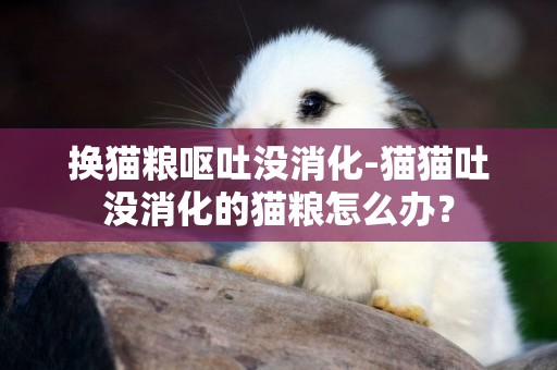 換貓糧嘔吐沒消化-貓貓吐沒消化的貓糧怎么辦？
