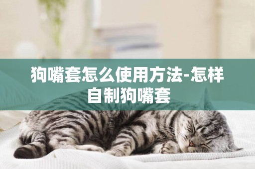 狗嘴套怎么使用方法-怎樣自制狗嘴套