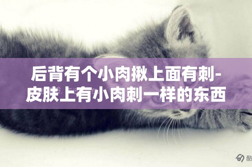 后背有個小肉揪上面有刺-皮膚上有小肉刺一樣的東西是什么