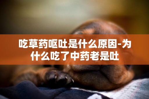 吃草藥嘔吐是什么原因-為什么吃了中藥老是吐