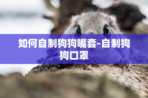 如何自制狗狗嘴套-自制狗狗口罩