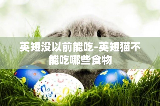 英短沒以前能吃-英短貓不能吃哪些食物