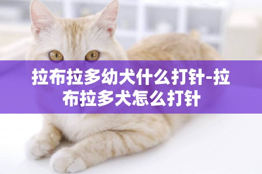 拉布拉多幼犬什么打針-拉布拉多犬怎么打針
