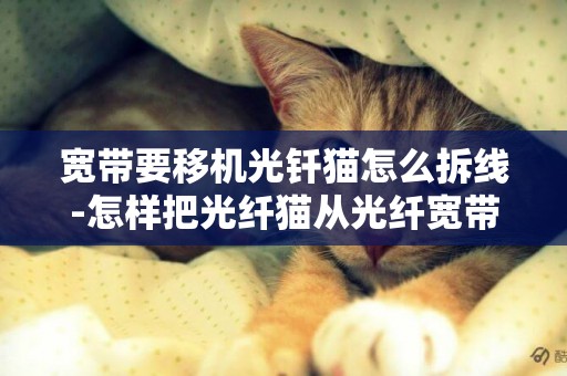 寬帶要移機光釬貓怎么拆線-怎樣把光纖貓從光纖寬帶上拆掉