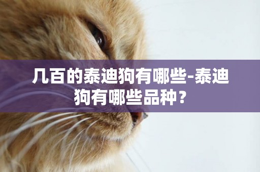 幾百的泰迪狗有哪些-泰迪狗有哪些品種？