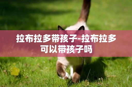 拉布拉多帶孩子-拉布拉多可以帶孩子嗎