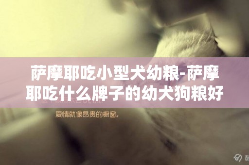薩摩耶吃小型犬幼糧-薩摩耶吃什么牌子的幼犬狗糧好