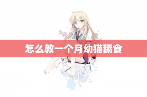 怎么教一個月幼貓舔食