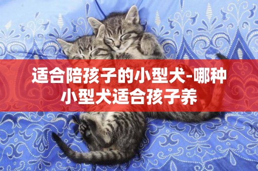 適合陪孩子的小型犬-哪種小型犬適合孩子養