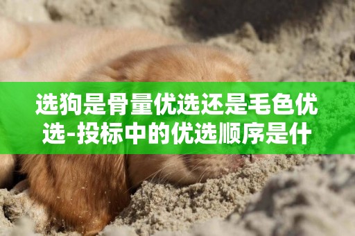 選狗是骨量優選還是毛色優選-投標中的優選順序是什么意思