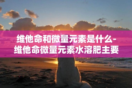 維他命和微量元素是什么-維他命微量元素水溶肥主要有什么作用？