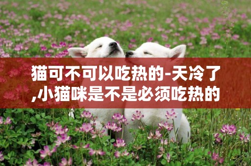 貓可不可以吃熱的-天冷了,小貓咪是不是必須吃熱的食物???