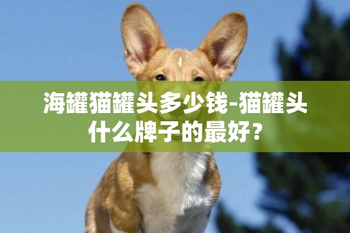 海罐貓罐頭多少錢-貓罐頭什么牌子的最好？