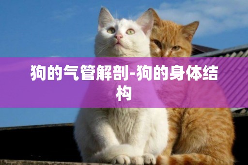 狗的氣管解剖-狗的身體結構