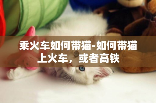 乘火車如何帶貓-如何帶貓上火車，或者高鐵
