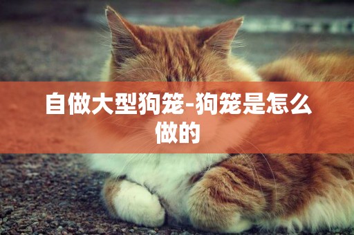 自做大型狗籠-狗籠是怎么做的