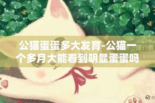 公貓蛋蛋多大發育-公貓一個多月大能看到明顯蛋蛋嗎？