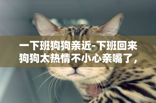 一下班狗狗親近-下班回來狗狗太熱情不小心親嘴了，會不會有什么事啊？