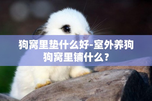 狗窩里墊什么好-室外養狗狗窩里鋪什么？