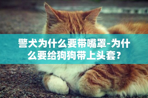 警犬為什么要帶嘴罩-為什么要給狗狗帶上頭套？