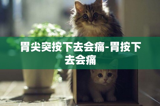 胃尖突按下去會痛-胃按下去會痛