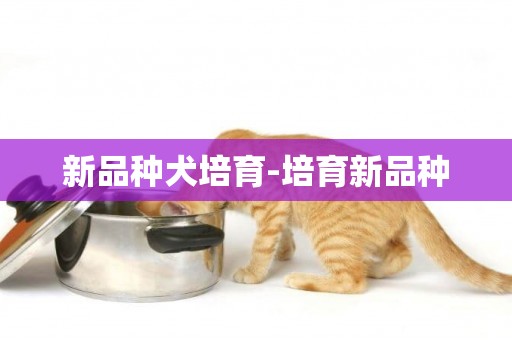 新品種犬培育-培育新品種