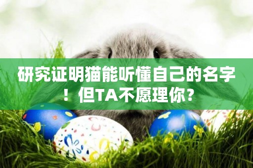 研究證明貓能聽懂自己的名字！但TA不愿理你？