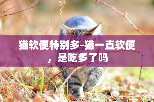 貓軟便特別多-貓一直軟便，是吃多了嗎