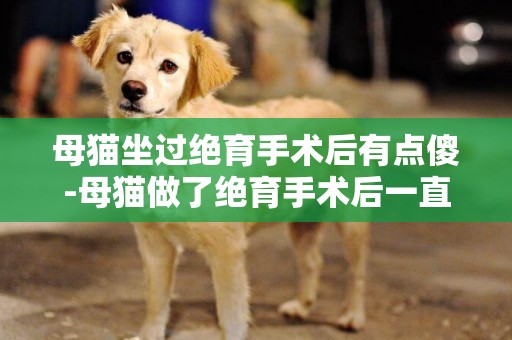 母貓坐過絕育手術后有點傻-母貓做了絕育手術后一直使勁掙扎