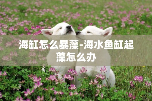海缸怎么暴藻-海水魚缸起藻怎么辦