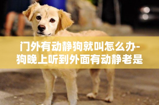 門外有動靜狗就叫怎么辦-狗晚上聽到外面有動靜老是要叫咋辦