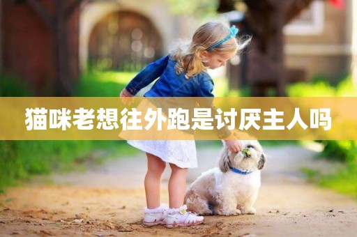 貓咪老想往外跑是討厭主人嗎