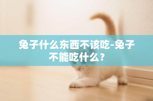 兔子什么東西不該吃-兔子不能吃什么？