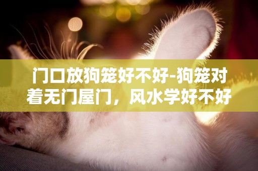 門口放狗籠好不好-狗籠對著無門屋門，風水學好不好？