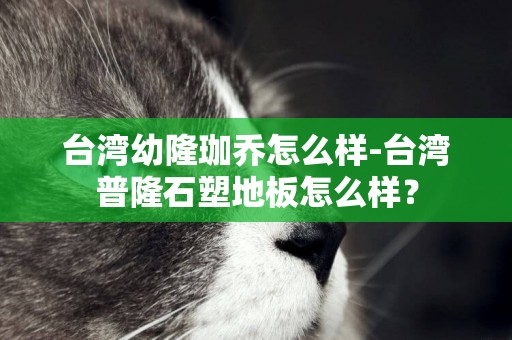 臺灣幼隆珈喬怎么樣-臺灣普隆石塑地板怎么樣？