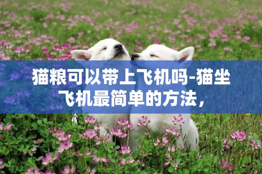貓糧可以帶上飛機嗎-貓坐飛機最簡單的方法，
