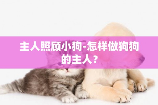 主人照顧小狗-怎樣做狗狗的主人？