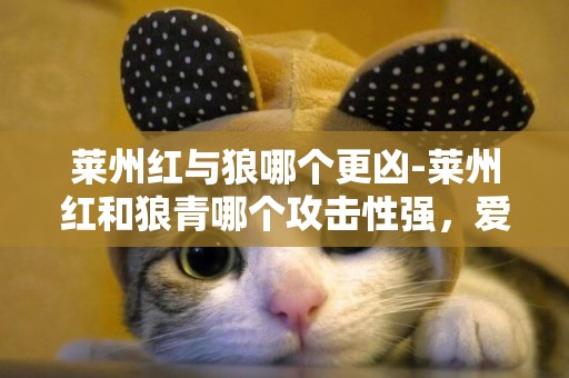 萊州紅與狼哪個更兇-萊州紅和狼青哪個攻擊性強，愛咬人？